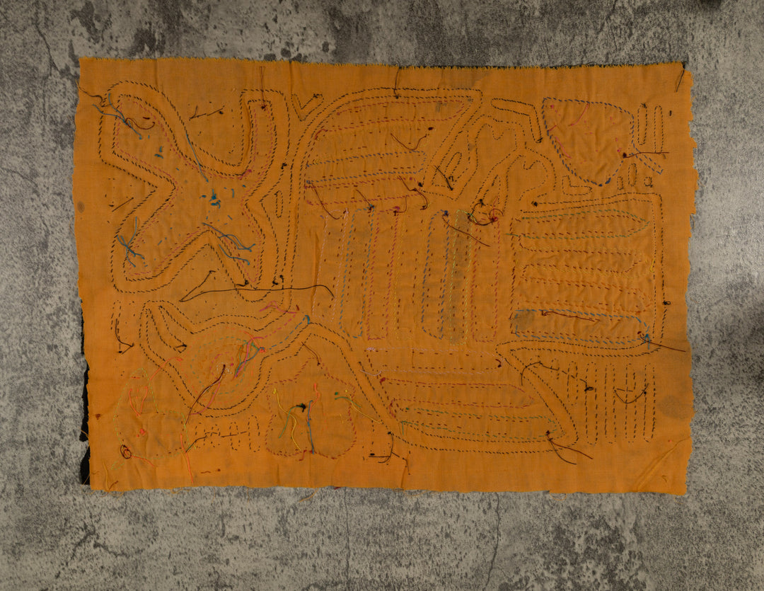 Classic Black And Gold Rainforest Bird Mola