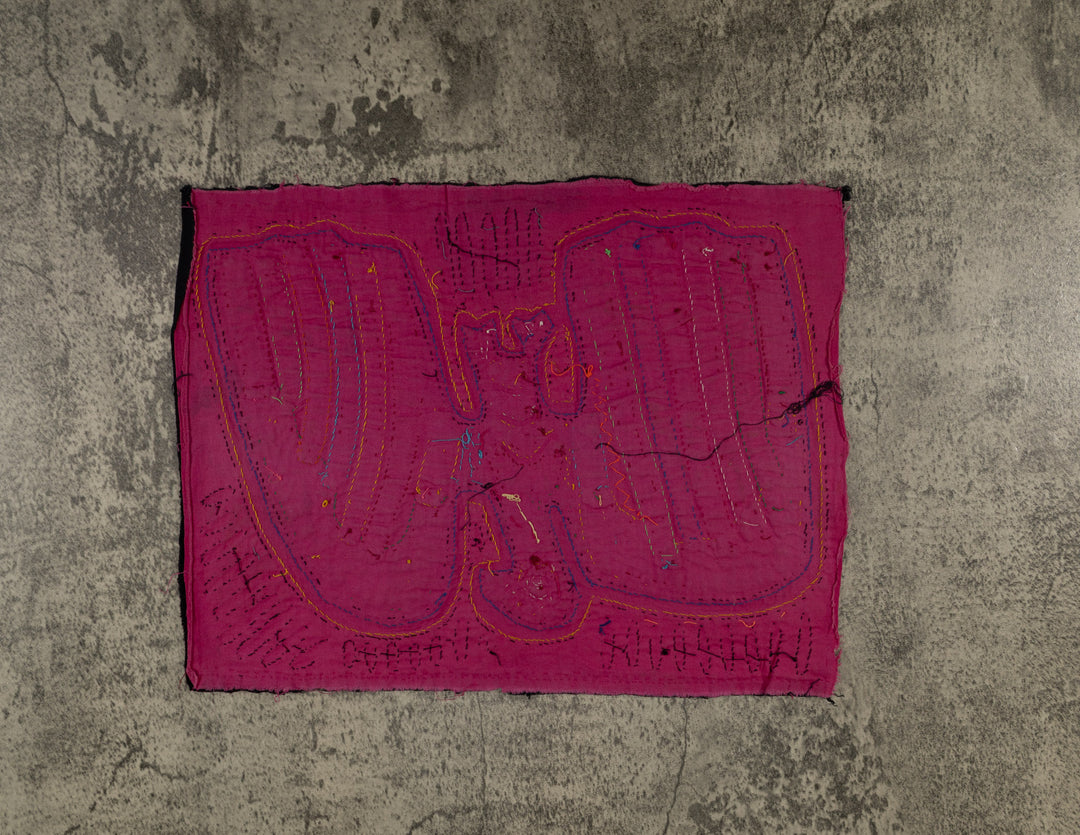 Rainbow Colors Anden Condor Bird Mola