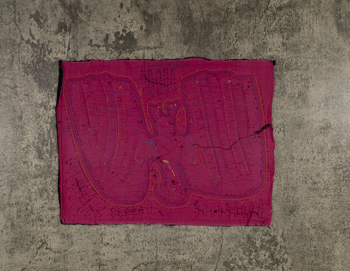 Rainbow Colors Anden Condor Bird Mola