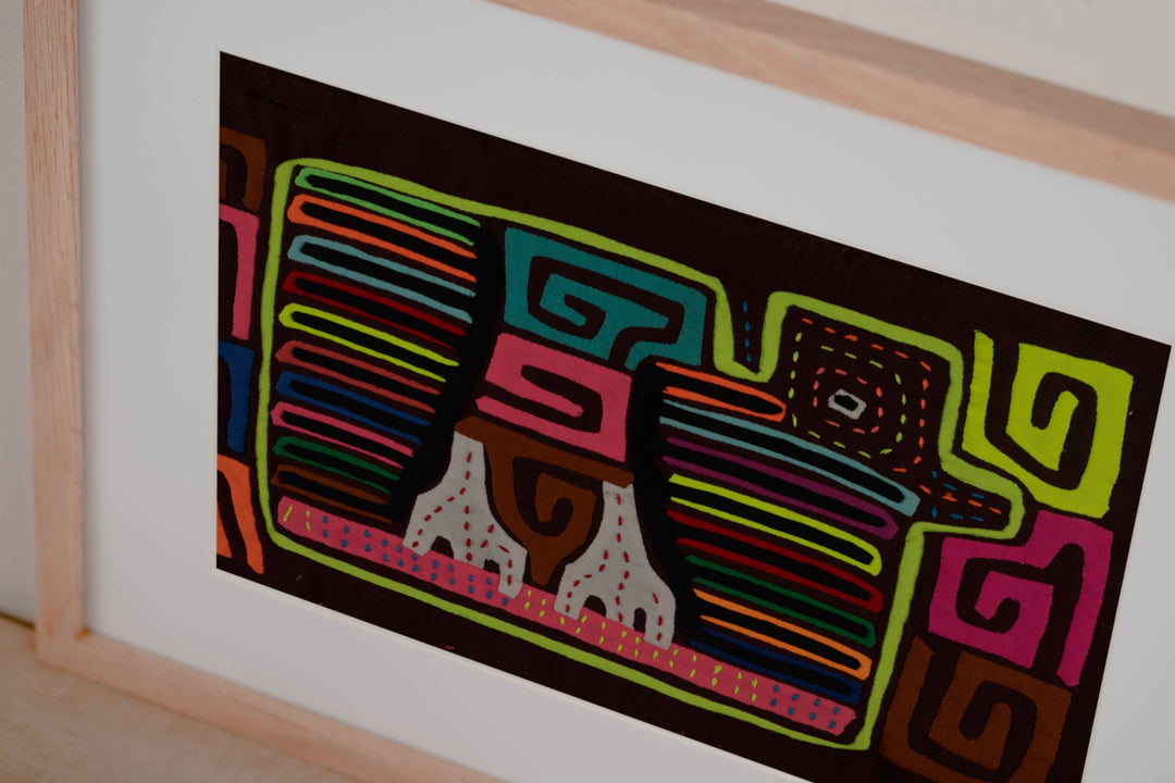 Classic Rainbow Colors Fancy Rainforest Bird Mola