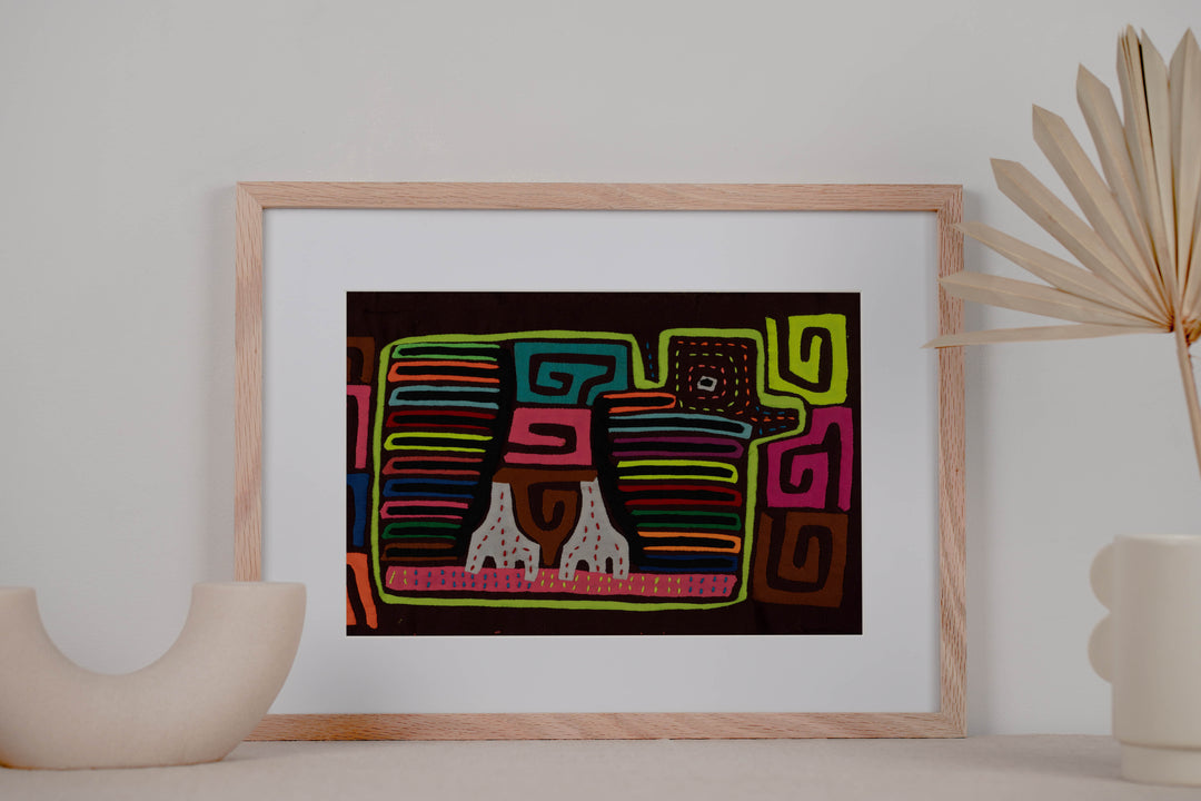 Classic Rainbow Colors Fancy Rainforest Bird Mola