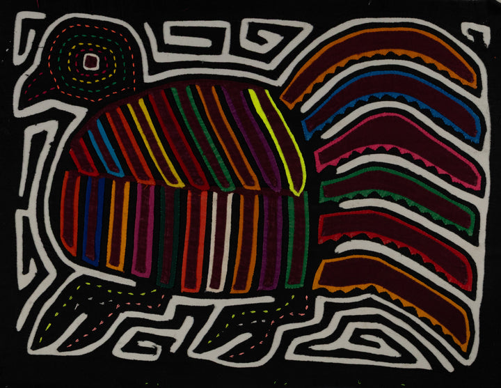 Rainbow Color Rainforest Bird Mola