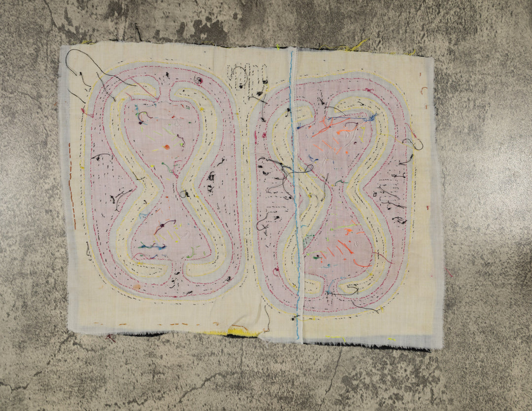 Traditional While Yellow And Pink Weird Fishbowl Mola