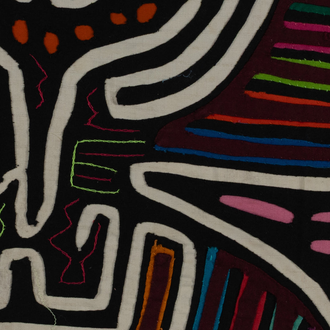 Classic Black And White Lovebird Mola