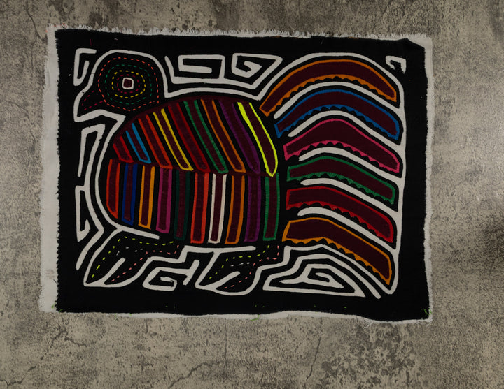 Rainbow Color Rainforest Bird Mola