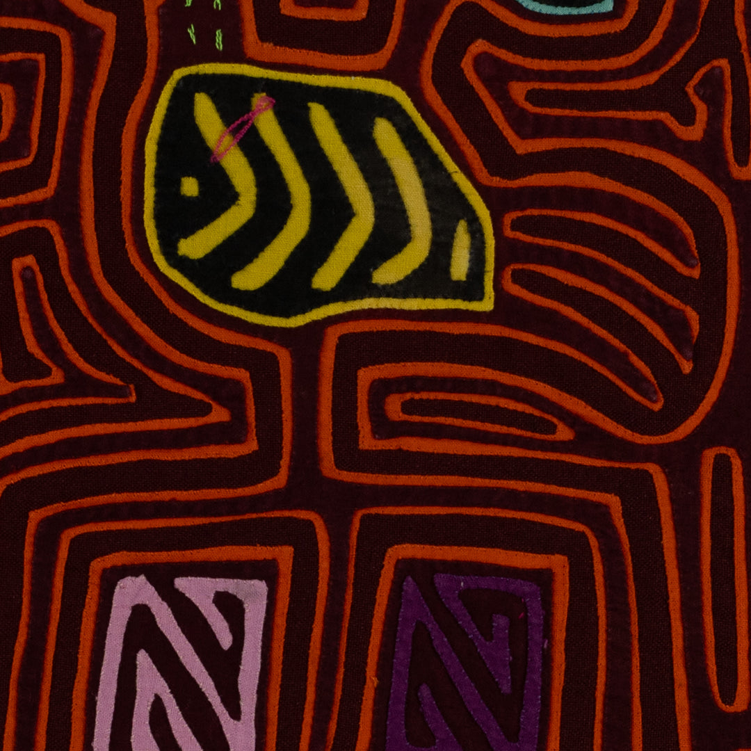 Maroon And Orange Lovebird Mola