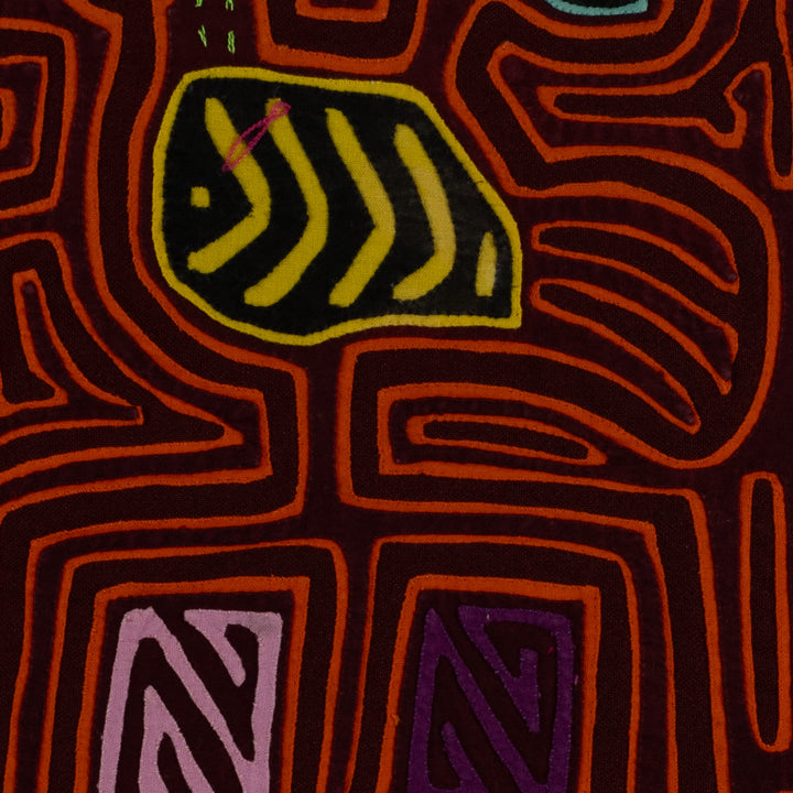 Maroon And Orange Lovebird Mola