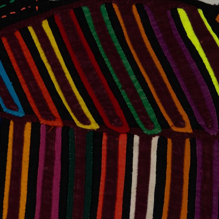 Rainbow Color Rainforest Bird Mola