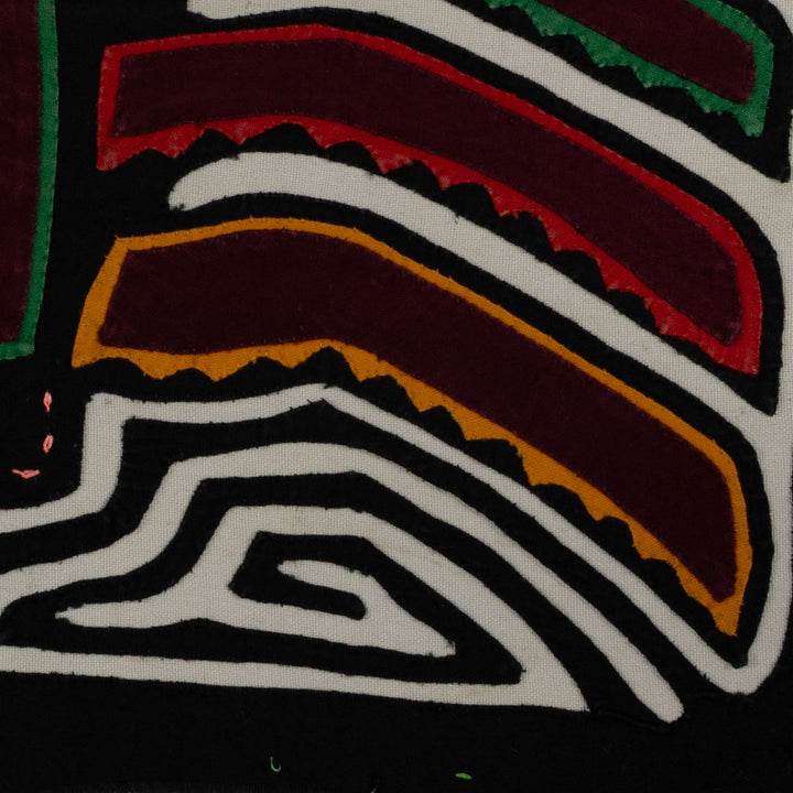 Rainbow Color Rainforest Bird Mola