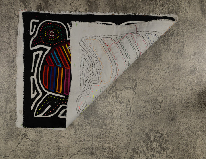 Rainbow Color Rainforest Bird Mola