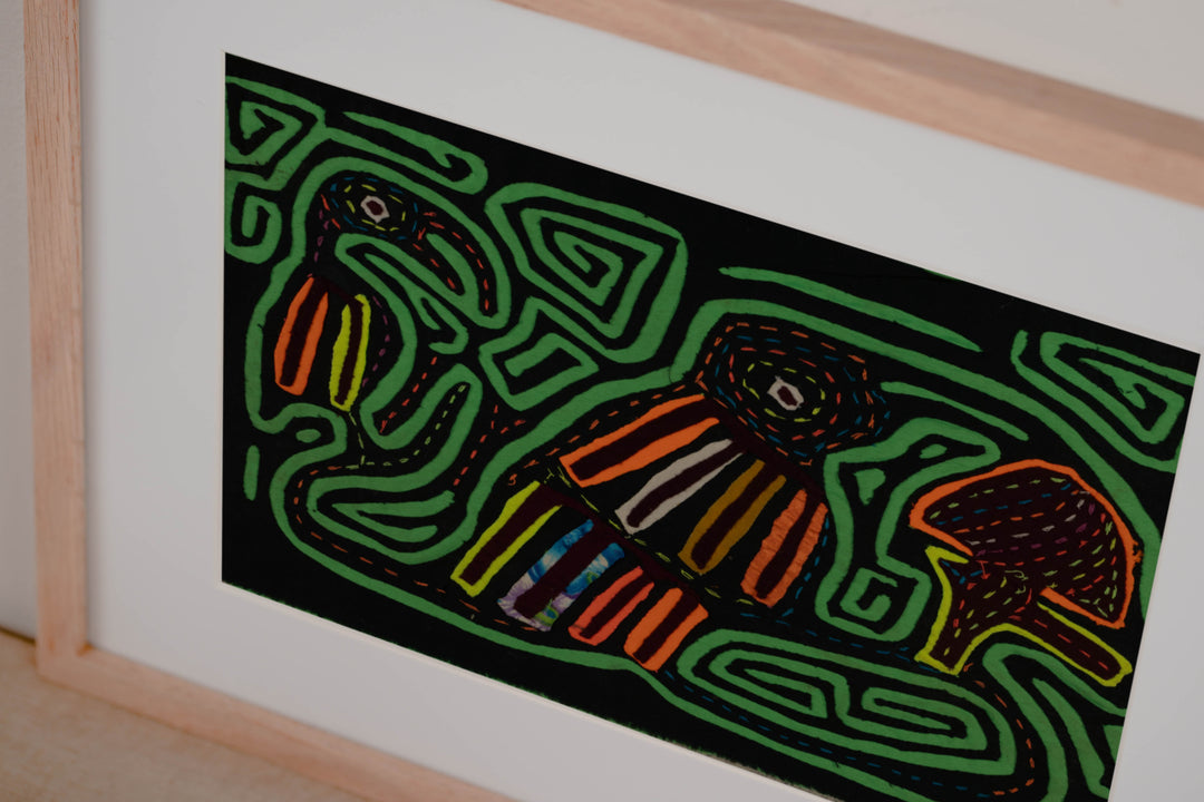 Black And Green Back Biter Jungle Bird Mola