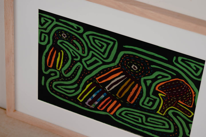 Black And Green Back Biter Jungle Bird Mola