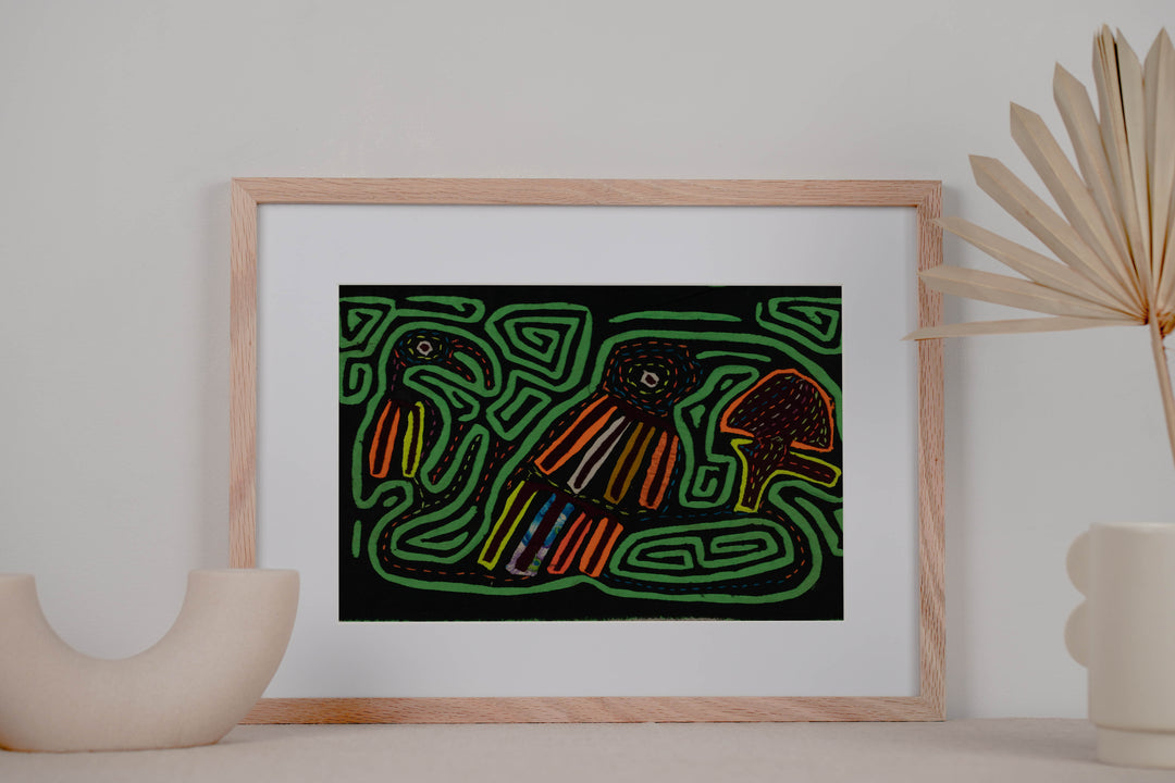 Black And Green Back Biter Jungle Bird Mola