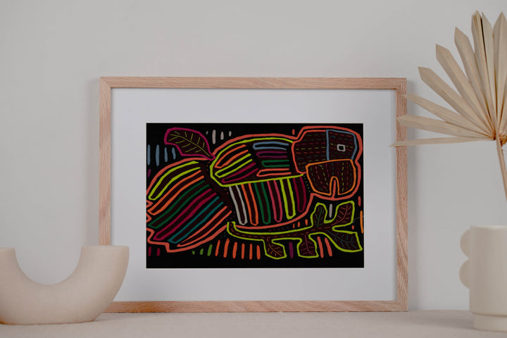 Rainbow Colors Fancy Parrot Bird Mola