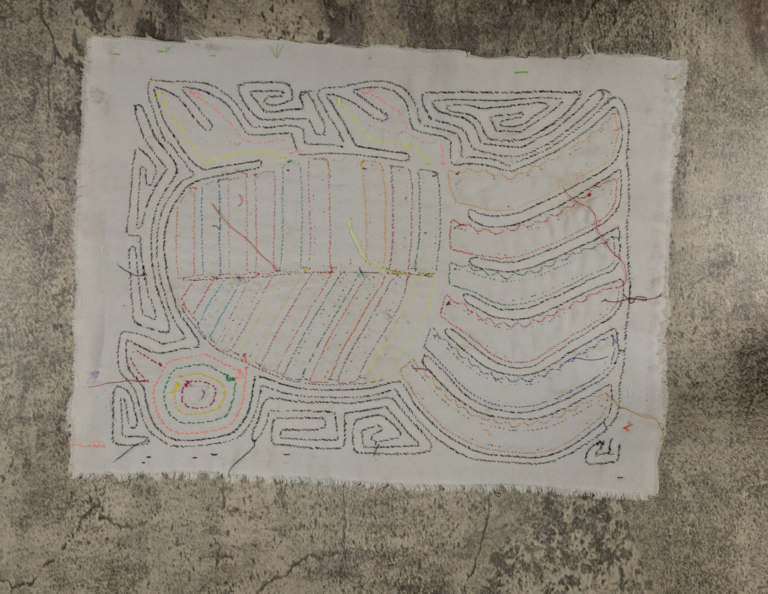 Rainbow Color Rainforest Bird Mola