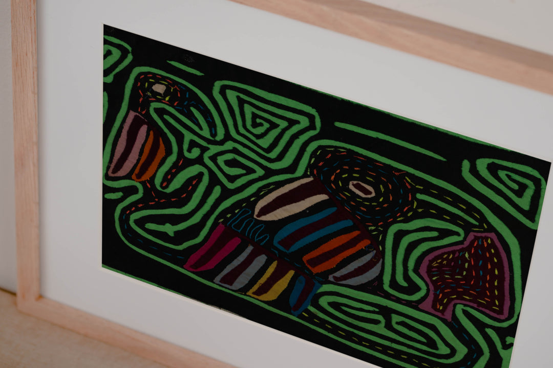 Black And Green Back Biter Jungle Bird Mola