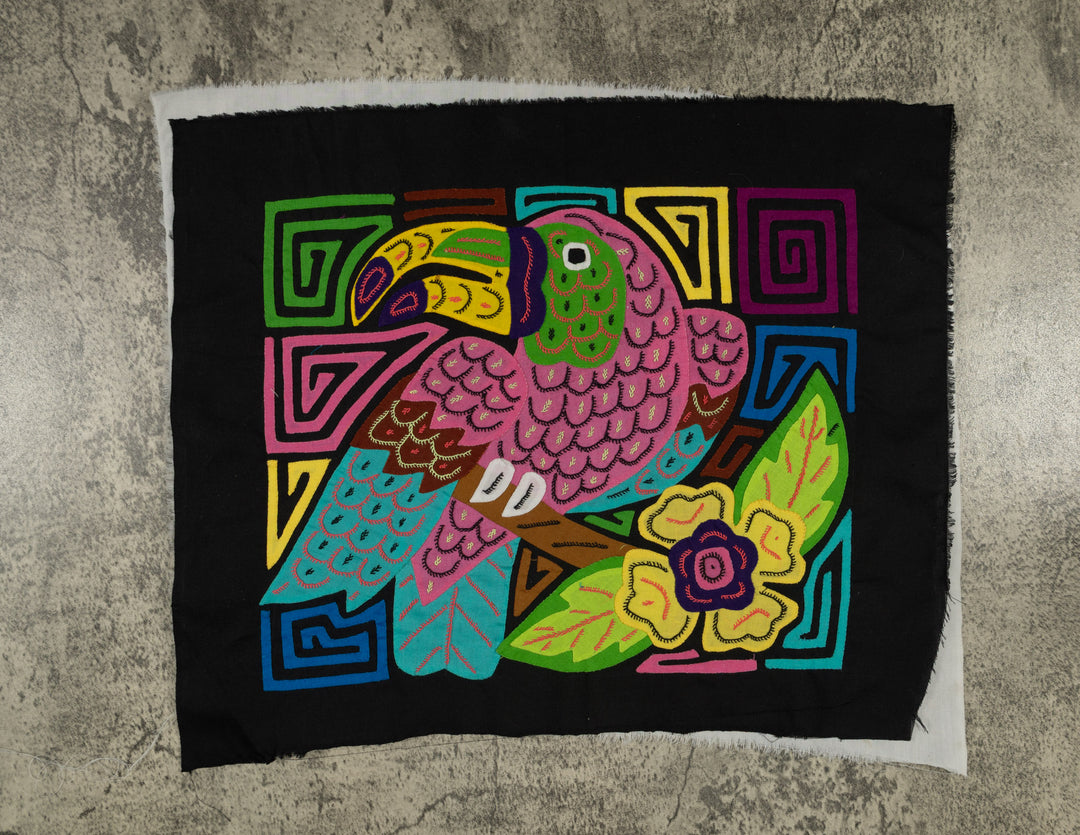 Pink Keel-billed Toucan Mola