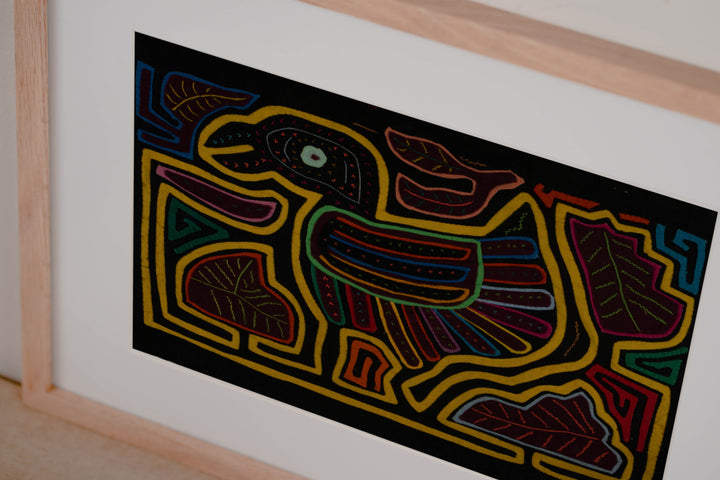 Classic Black And Yellow Rainforest Bird Mola