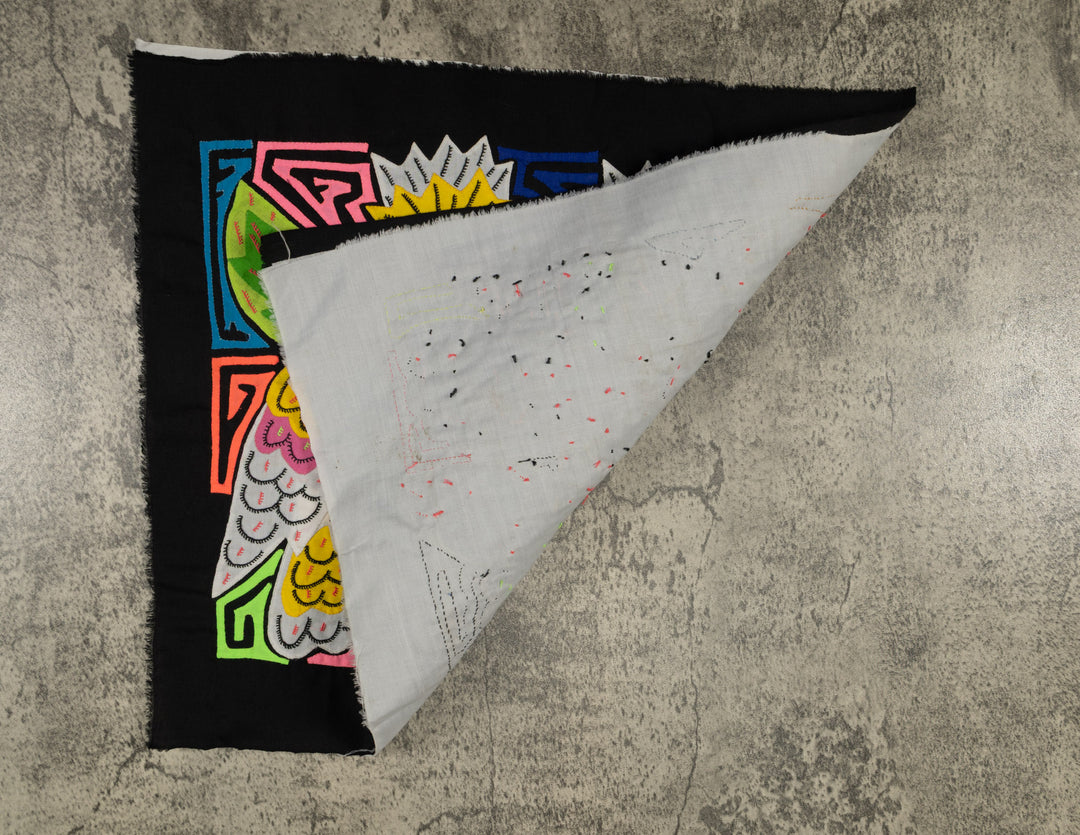 Sulphur-crested Cockatoo Mola