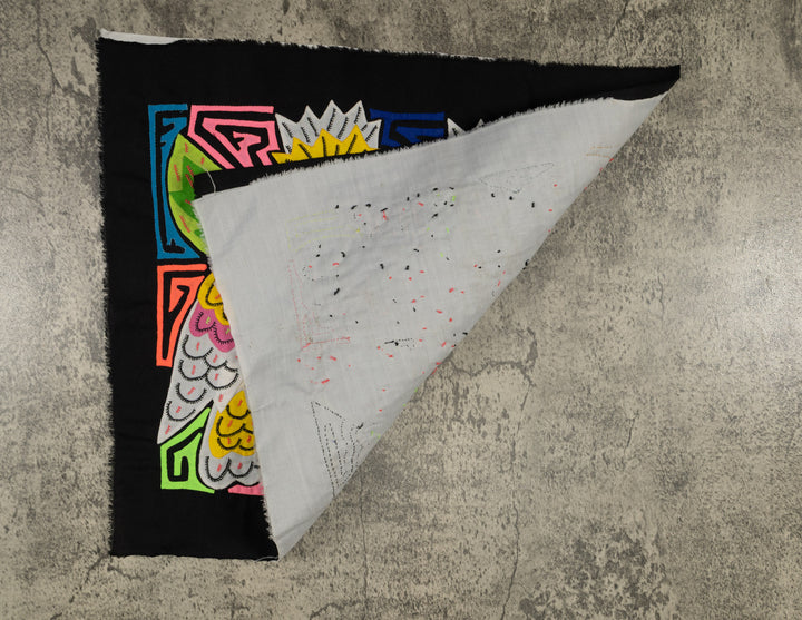 Sulphur-crested Cockatoo Mola