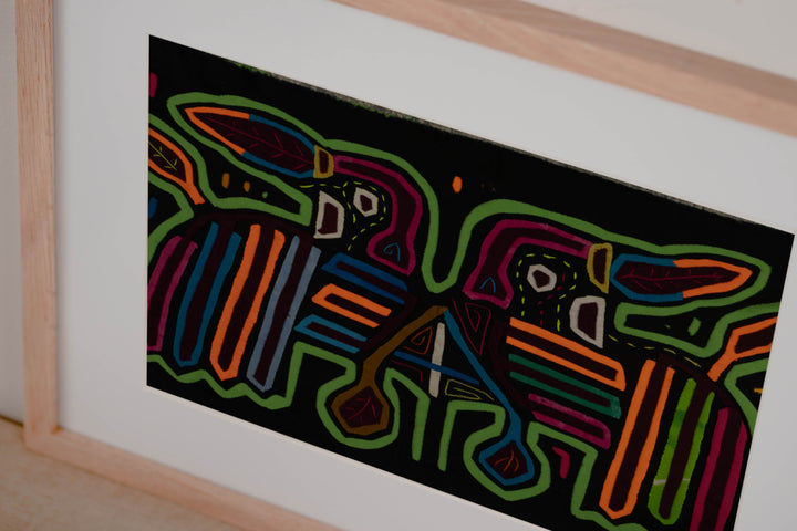 Classic Black And Green Rainforest Bird Mola