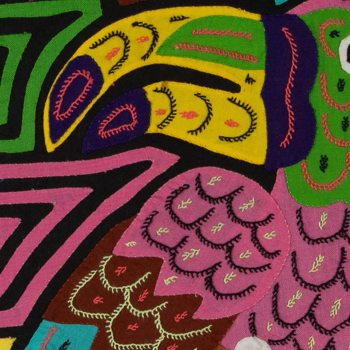 Pink Keel-billed Toucan Mola