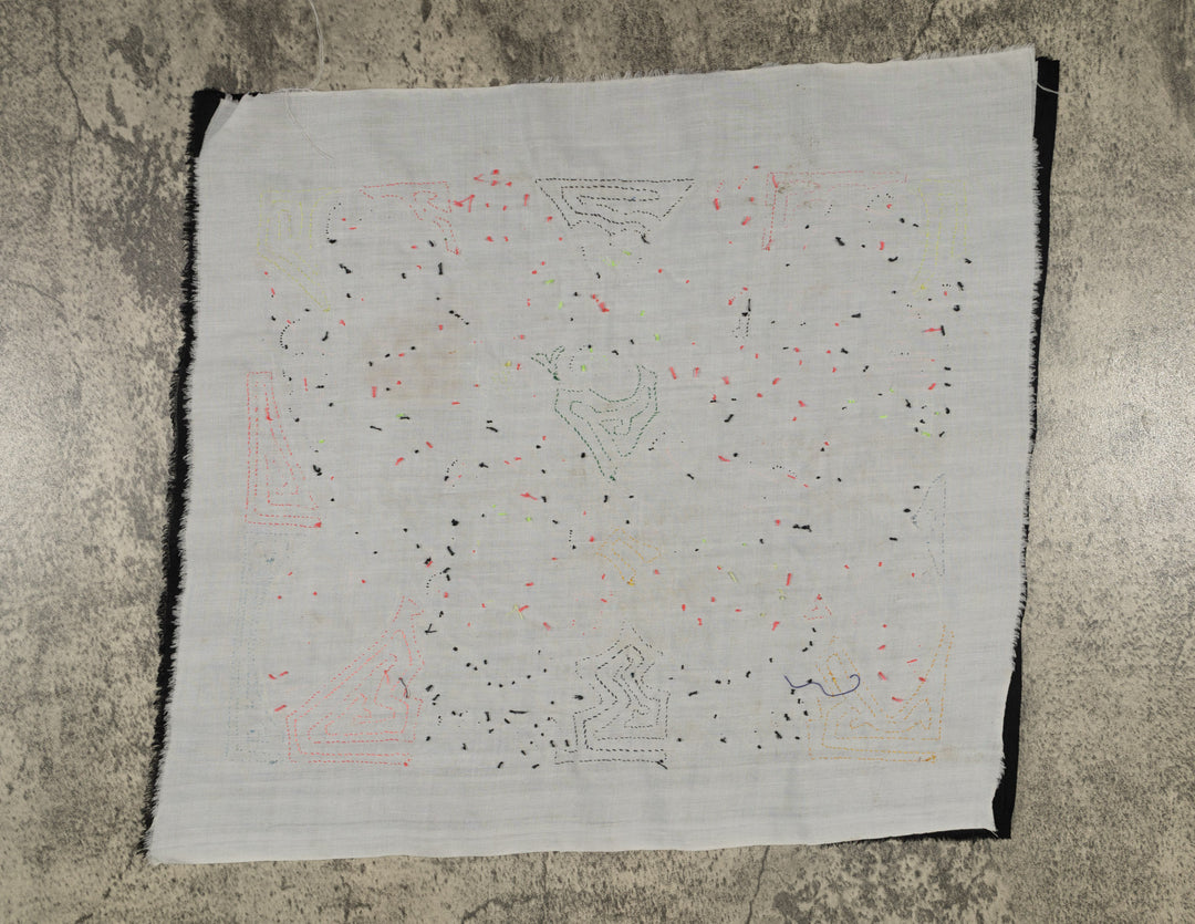 Sulphur-crested Cockatoo Mola