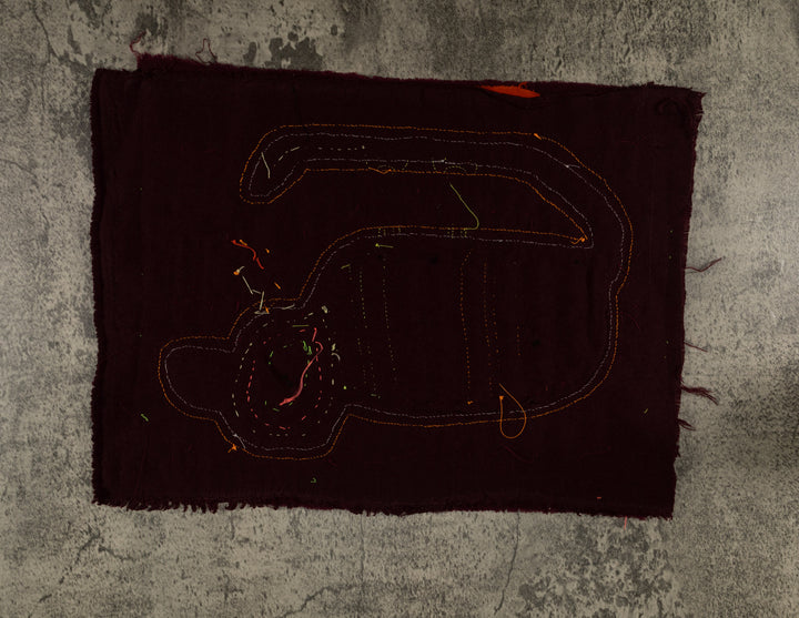 Classic Weird Spineless Iguana Mola