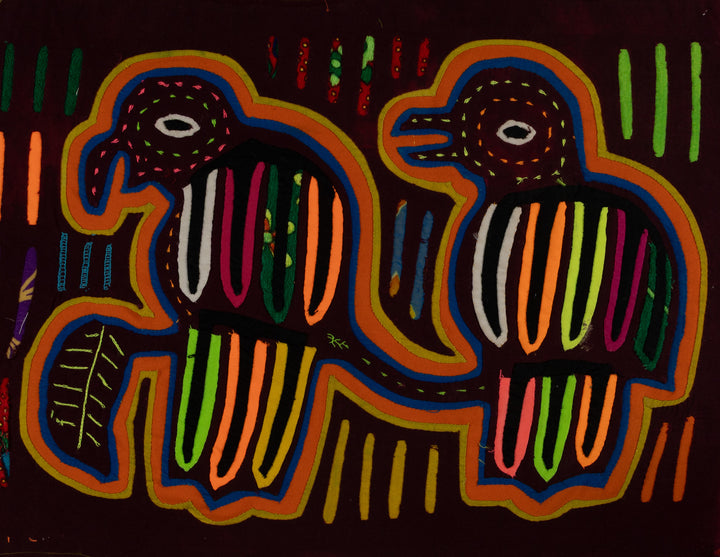 Classic Rainbow Buzzard Talk Mola