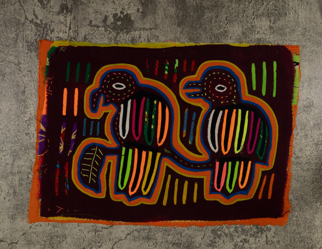 Classic Rainbow Buzzard Talk Mola