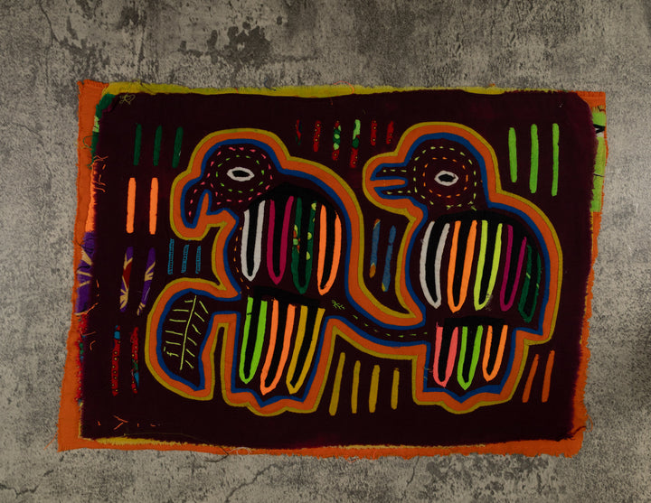 Classic Rainbow Buzzard Talk Mola