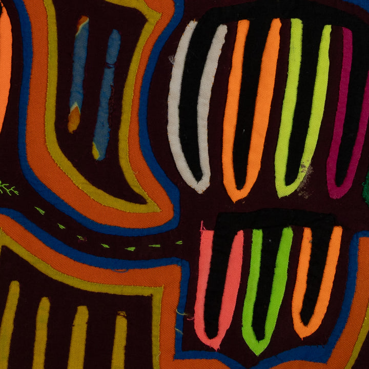 Classic Rainbow Buzzard Talk Mola