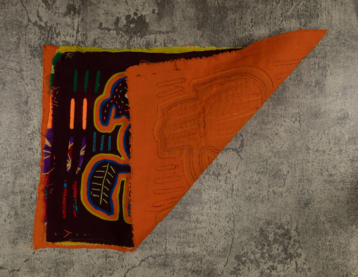 Classic Rainbow Buzzard Talk Mola