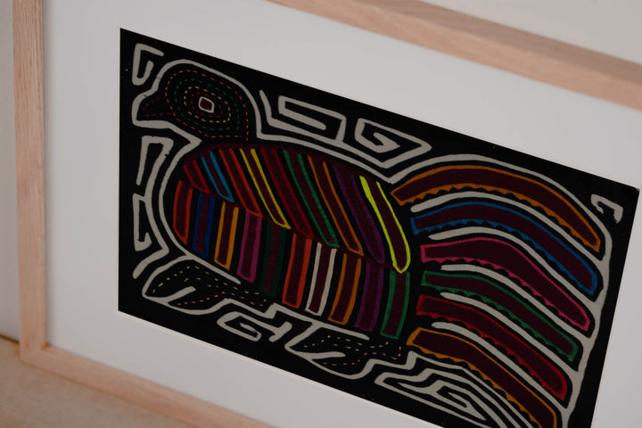 Rainbow Color Rainforest Bird Mola