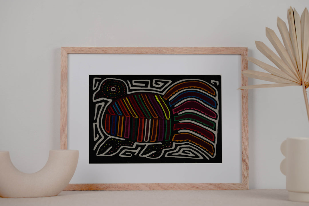 Rainbow Color Rainforest Bird Mola