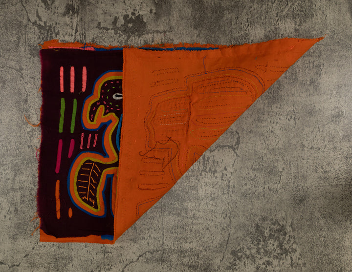 Traditional Rainbow Buzzard Talk Mola