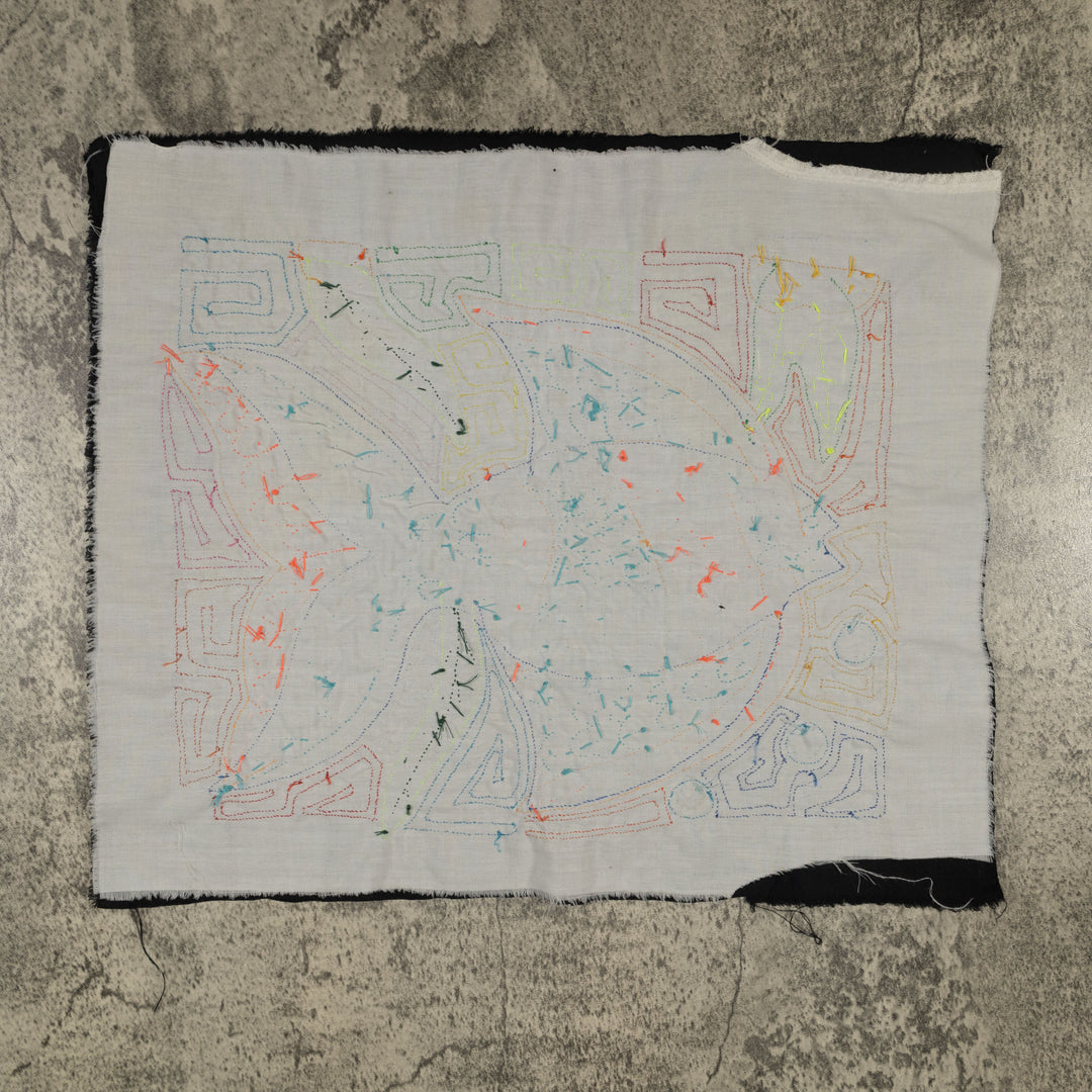 Fantasy Orange And Blue Angel Fish Mola