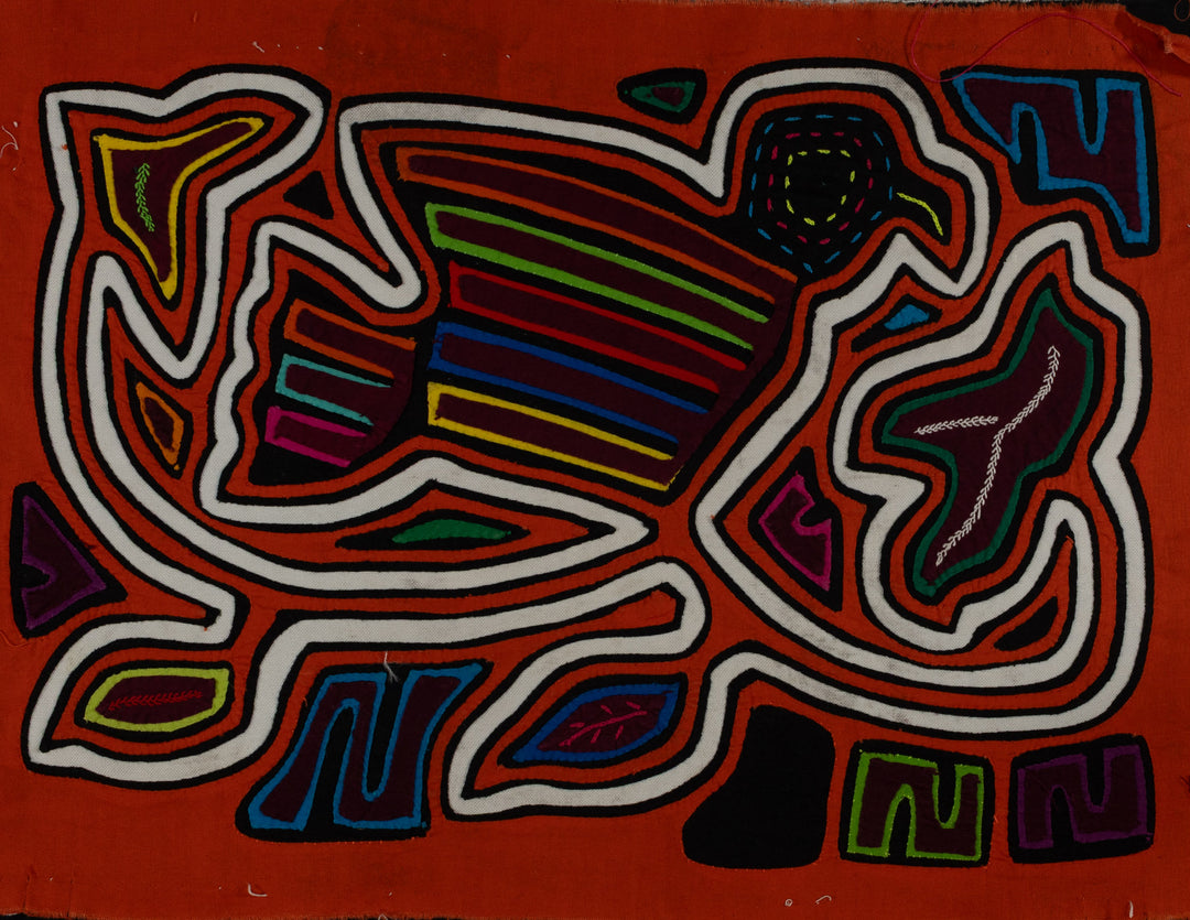 Classic Orange And White Rainforest Dove Bird Mola