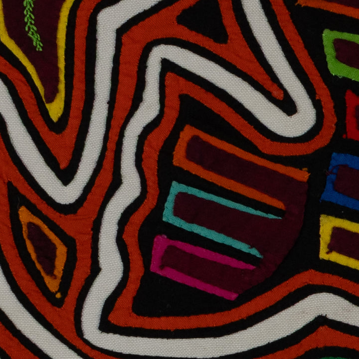 Classic Orange And White Rainforest Dove Bird Mola