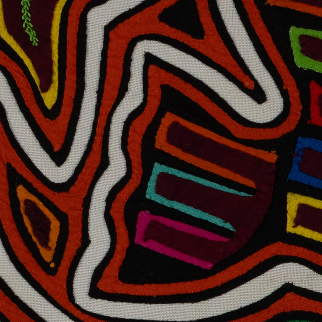 Classic Orange And White Rainforest Dove Bird Mola