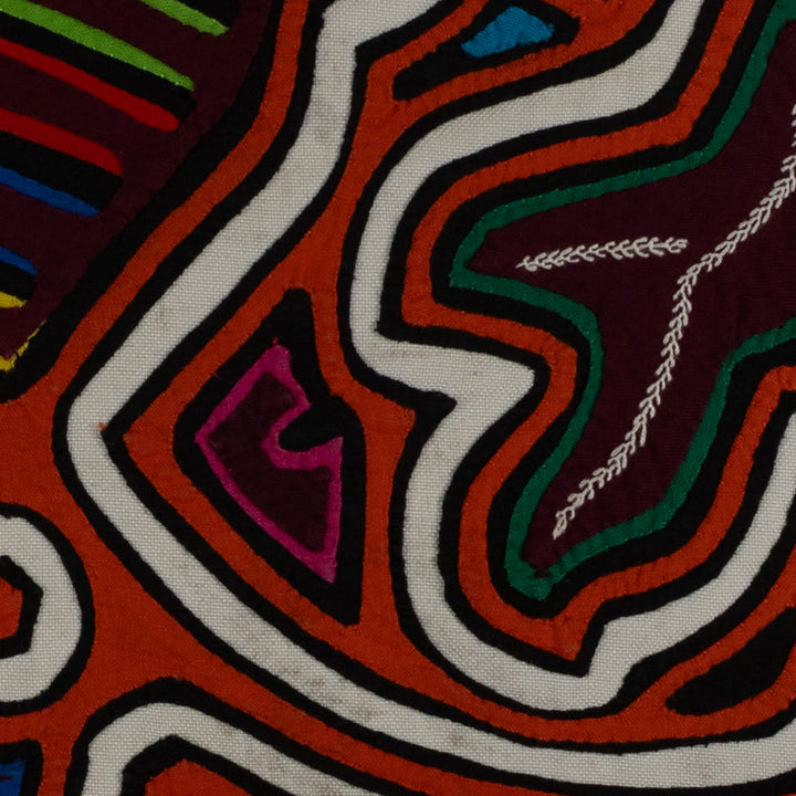 Classic Orange And White Rainforest Dove Bird Mola