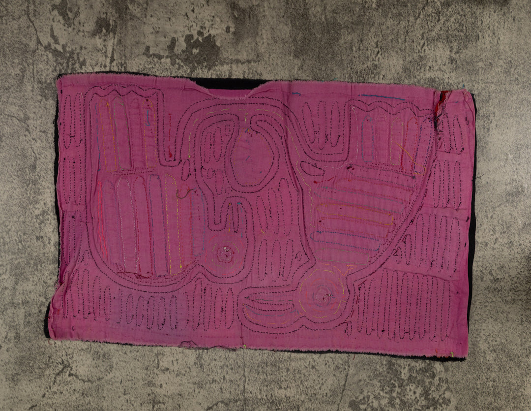 Classic Black And Purple Buzzard Bird Mola