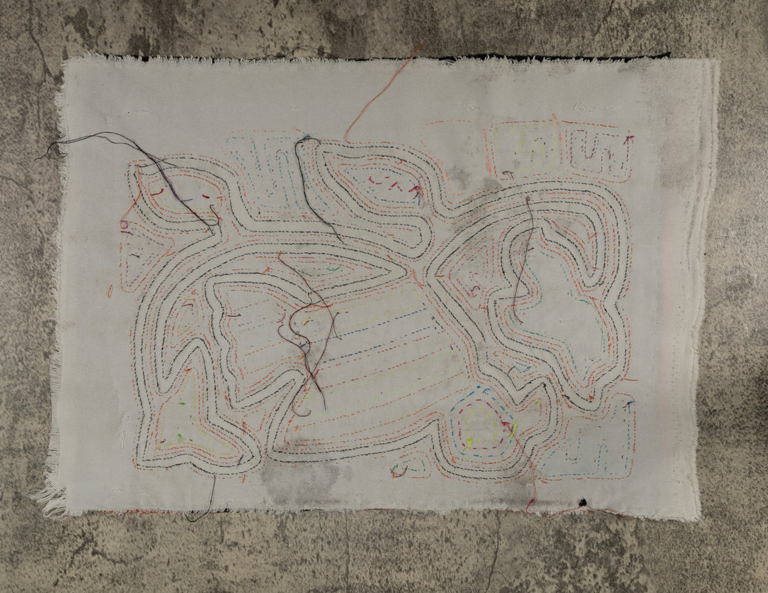 Classic Orange And White Rainforest Dove Bird Mola