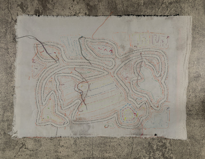 Classic Orange And White Rainforest Dove Bird Mola