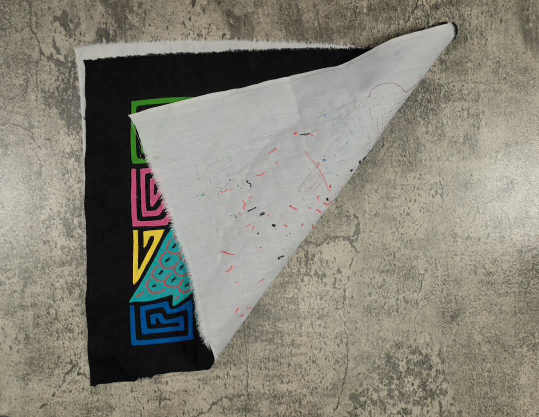 Pink Keel-billed Toucan Mola