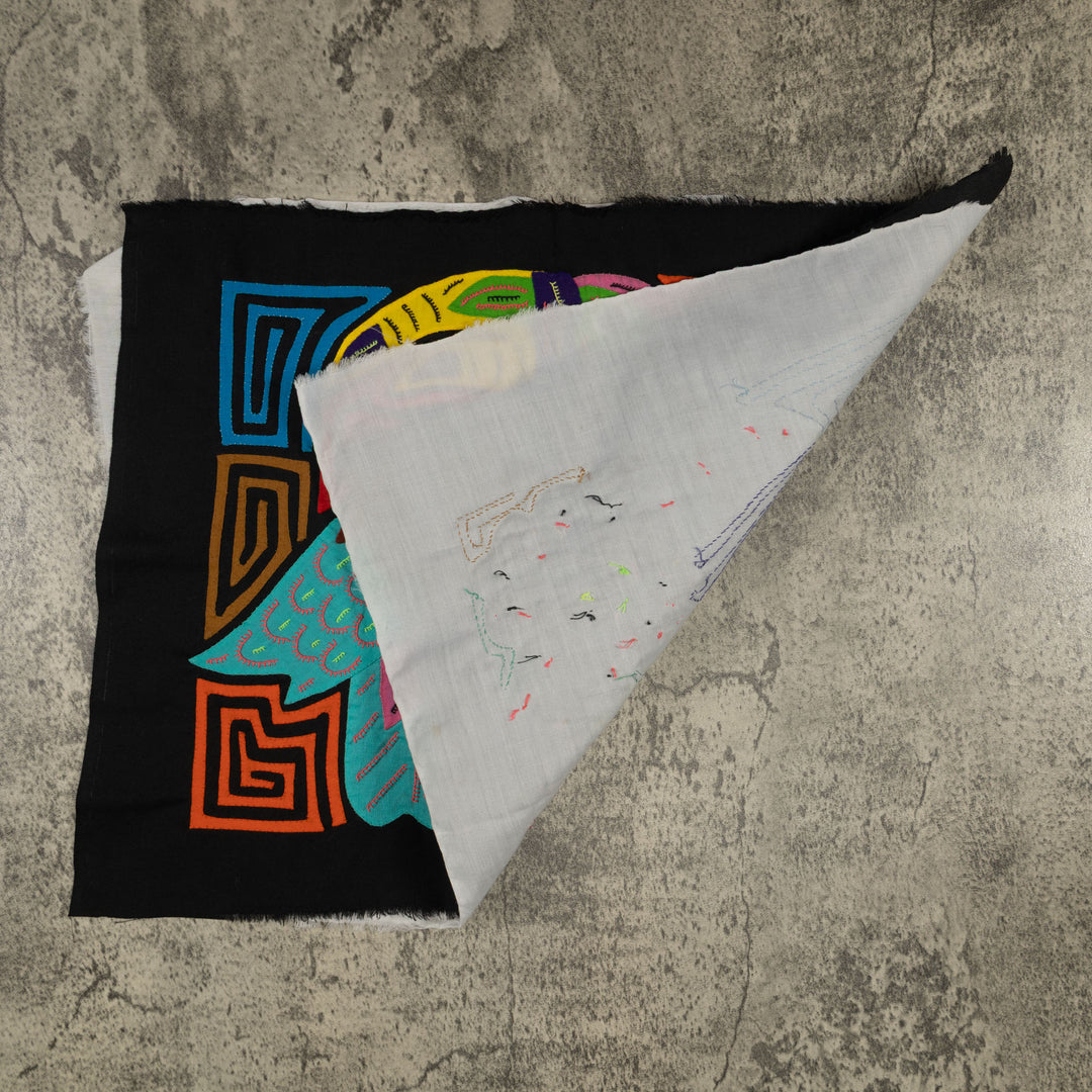 Fantasy Pink Blue And Yellow Toucan Bird Mola