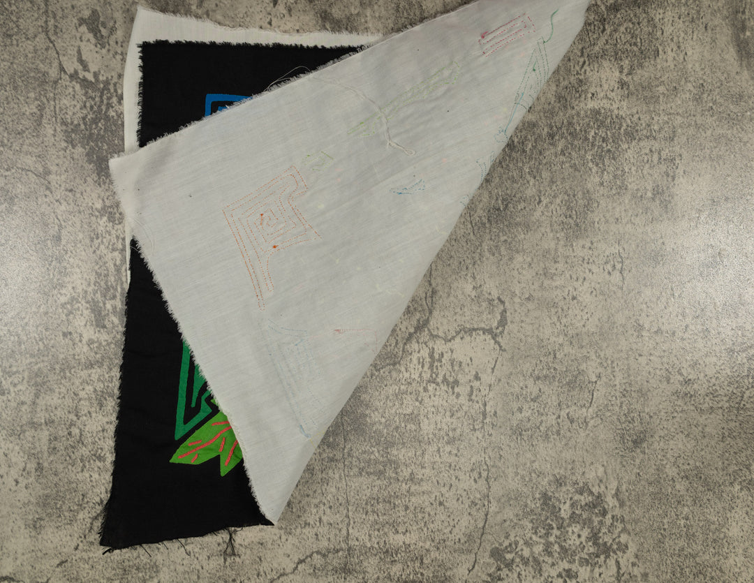 Purple Chestnut-mandibled Toucan Mola