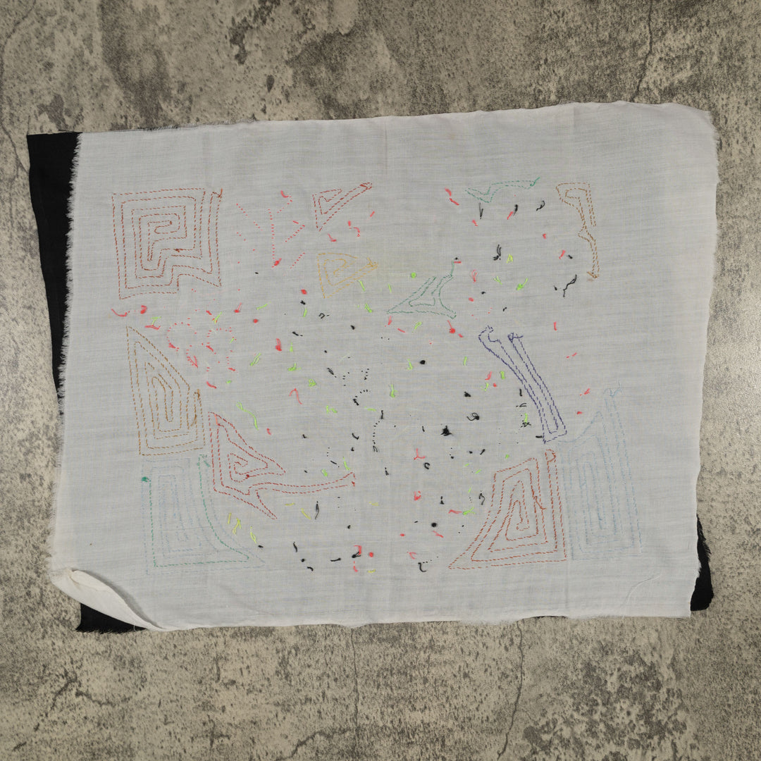 Fantasy Pink Blue And Yellow Toucan Bird Mola