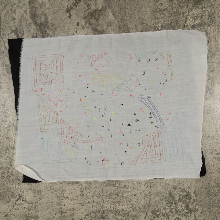 Fantasy Pink Blue And Yellow Toucan Bird Mola