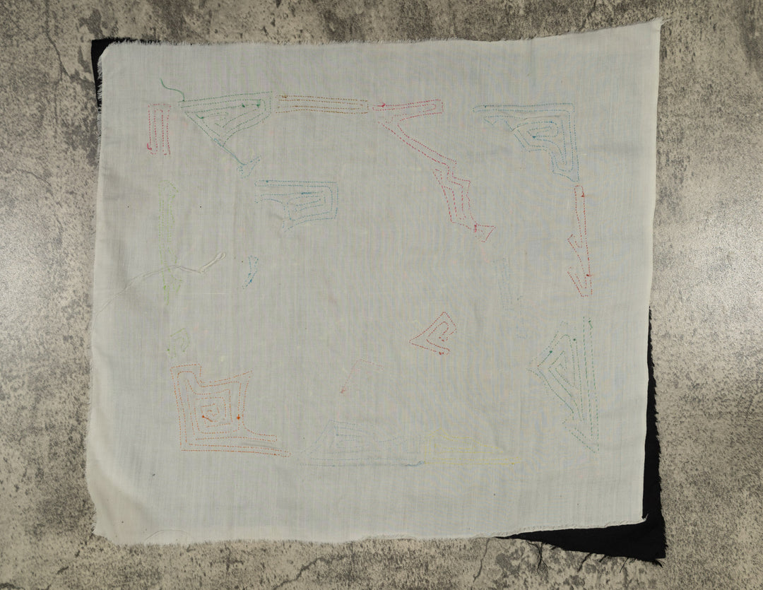 Purple Chestnut-mandibled Toucan Mola